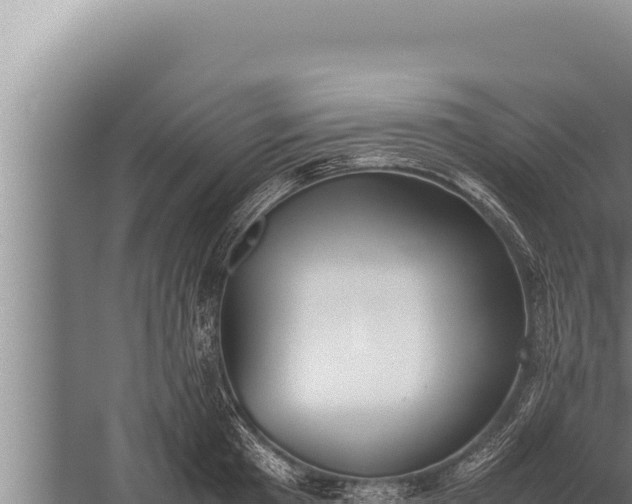 X0000059800801200510281637