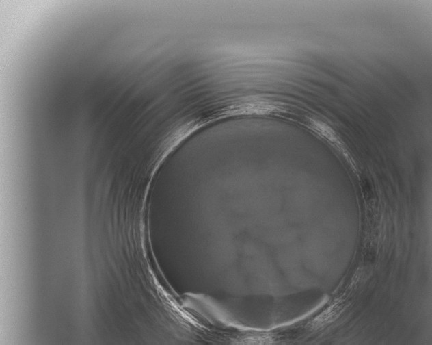 X0000059800802200510281637