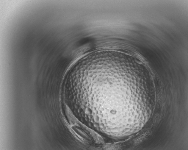 X0000059800803200510281637