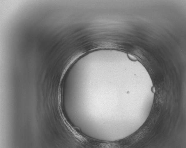 X0000059800804200510281637