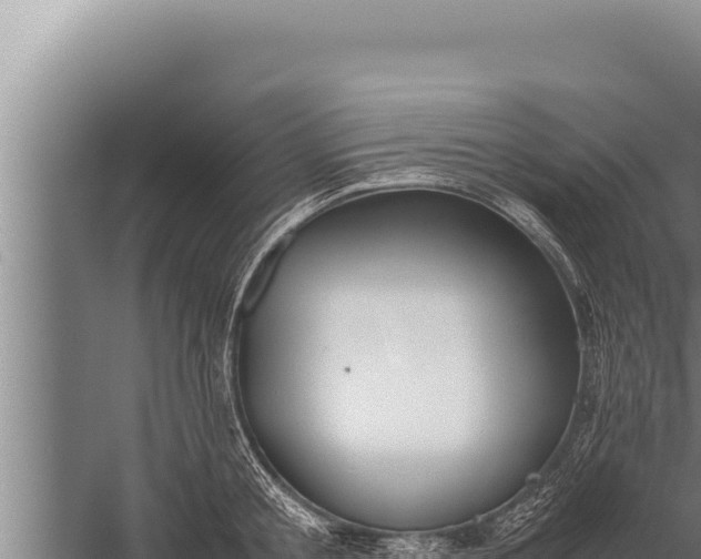 X0000059800805200510281637