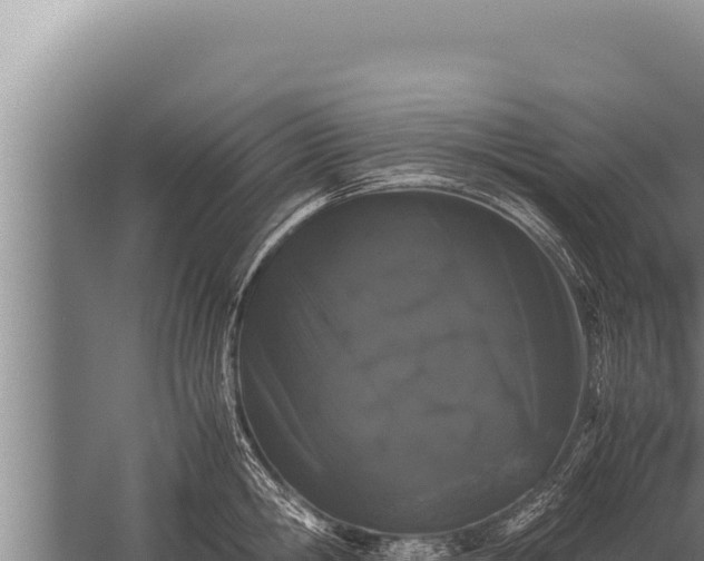 X0000059800806200510281637