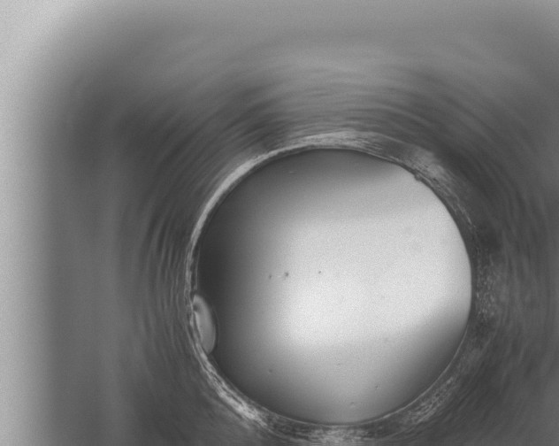 X0000059800808200510281637