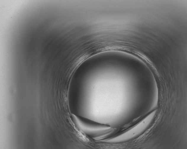 X0000059800809200510281637