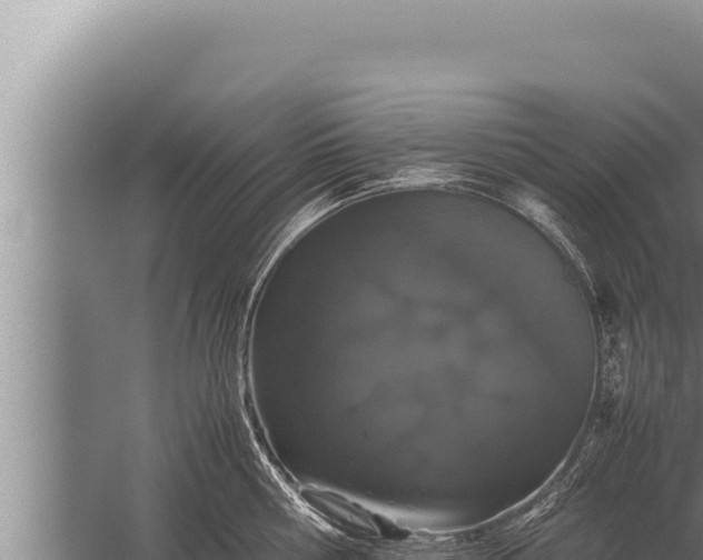 X0000059800810200510281637