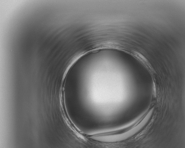 X0000059800812200510281637