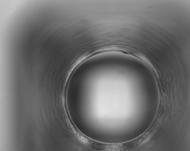 X0000059800813200510281637