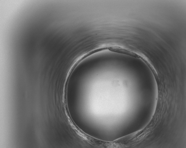 X0000059800815200510281637