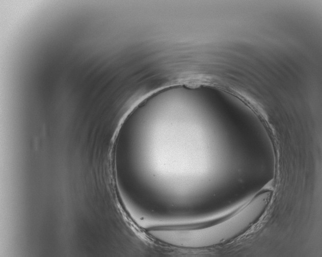 X0000059800816200510281637