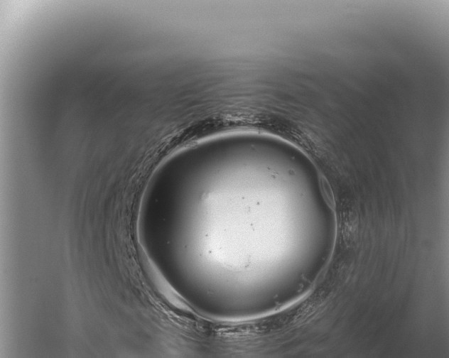 X0000059800817200510281636