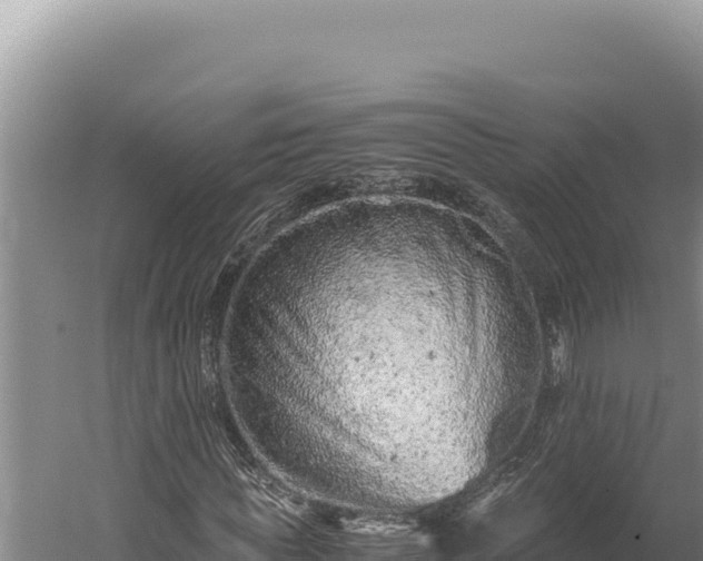 X0000059800819200510281636