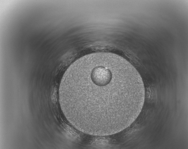 X0000059800820200510281636