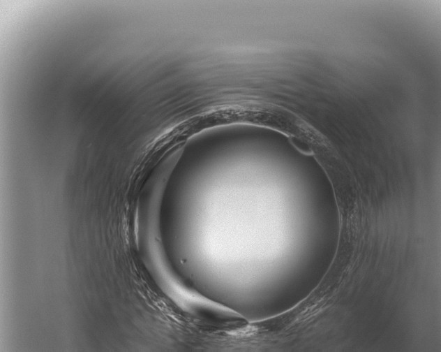 X0000059800822200510281636