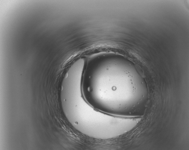 X0000059800824200510281636