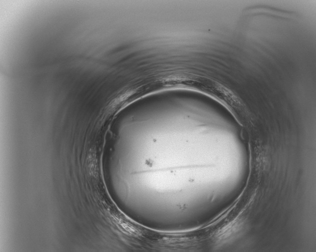 X0000059800825200510281636