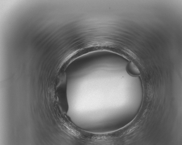 X0000059800826200510281636