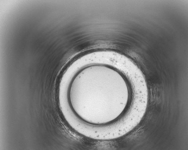 X0000059800828200510281636