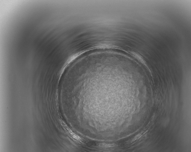 X0000059800831200510281636