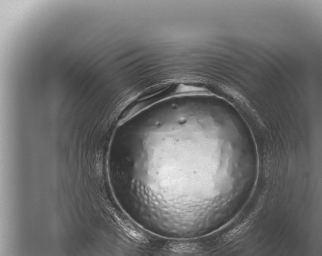 X0000059800833200510281636