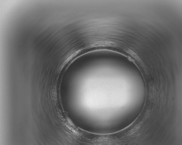 X0000059800834200510281636