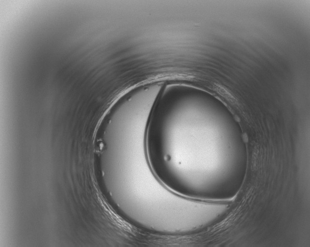 X0000059800836200510281636