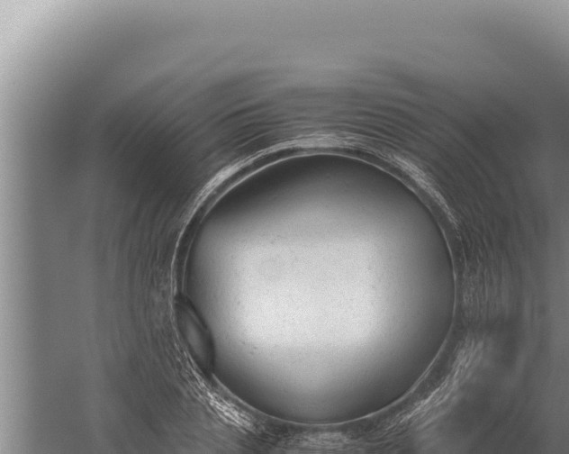 X0000059800837200510281636