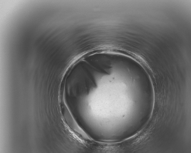 X0000059800839200510281636