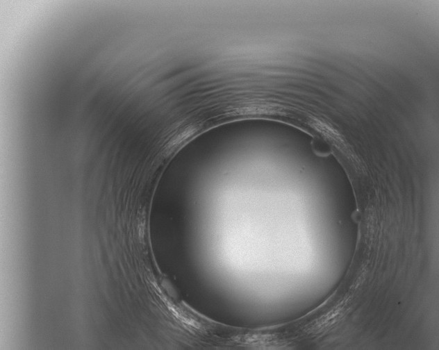 X0000059800841200510281636