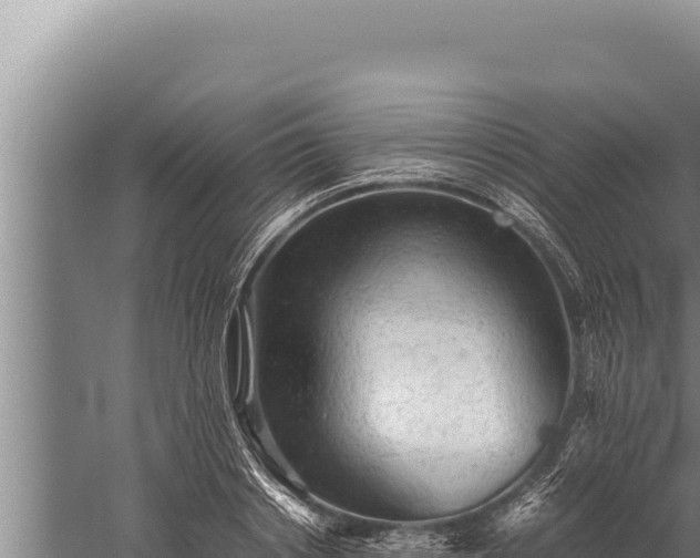 X0000059800842200510281636