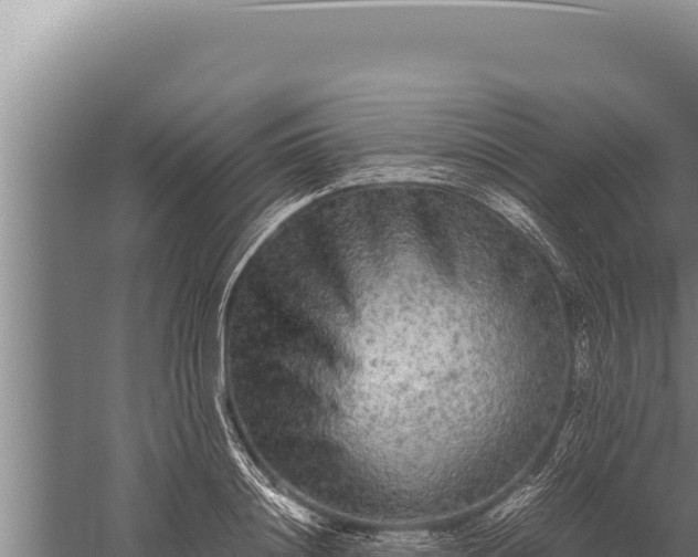 X0000059800844200510281637