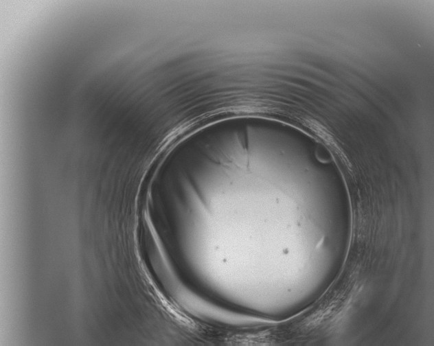 X0000059800845200510281637