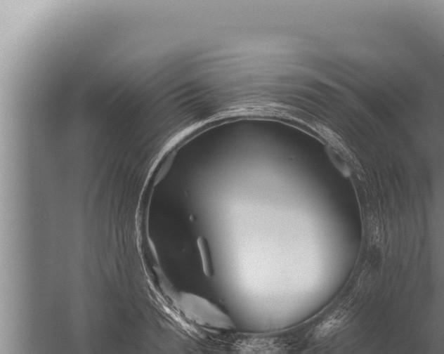 X0000059800846200510281637