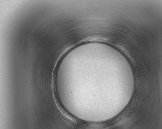 X0000059800848200510281637