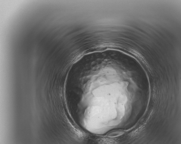 X0000059800849200510281637