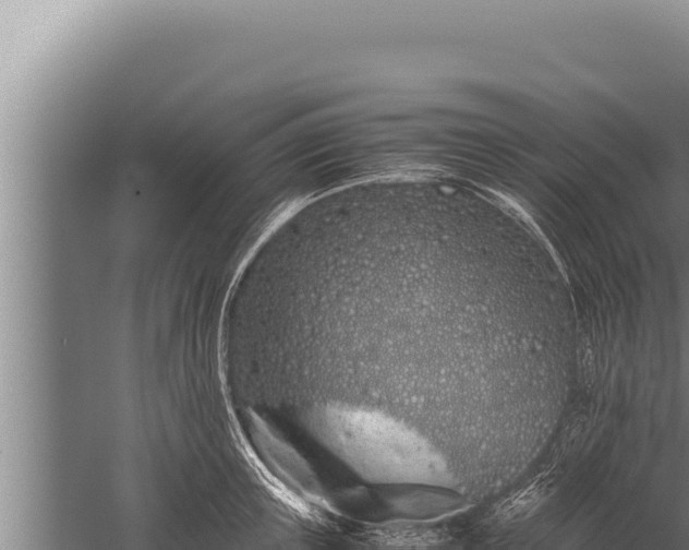 X0000059800851200510281637