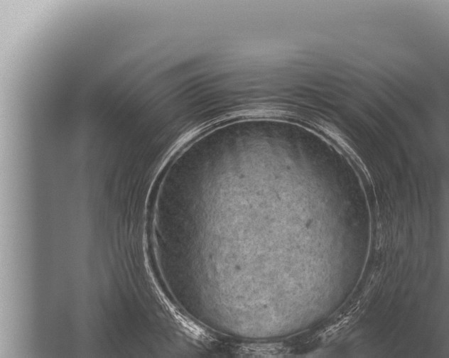 X0000059800853200510281637