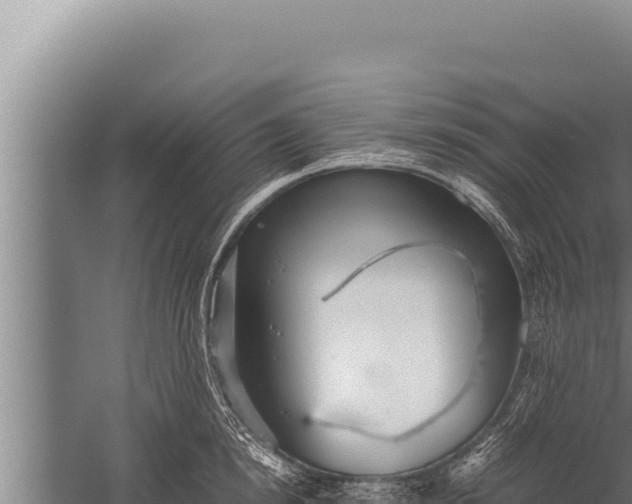 X0000059800854200510281637