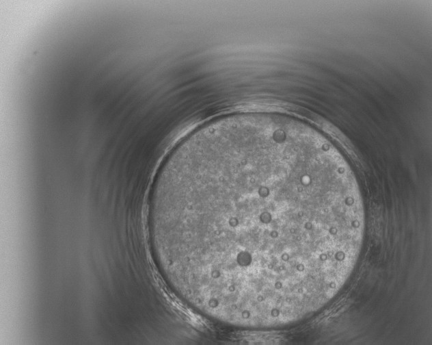 X0000059800856200510281637