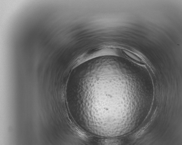 X0000059800857200510281637