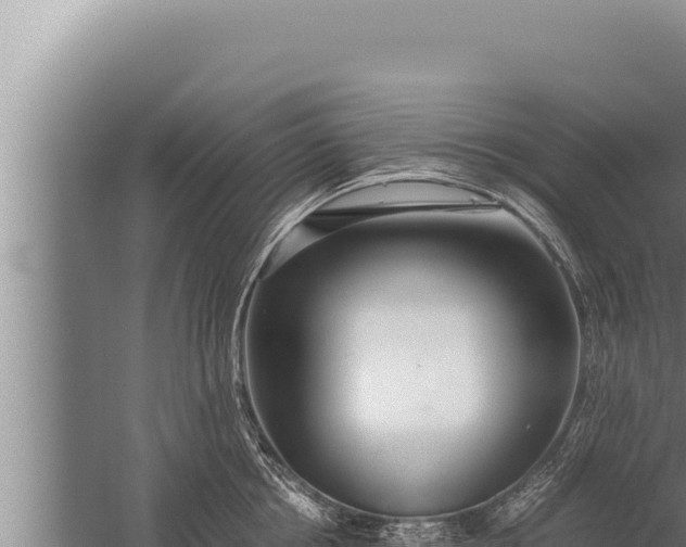 X0000059800858200510281637