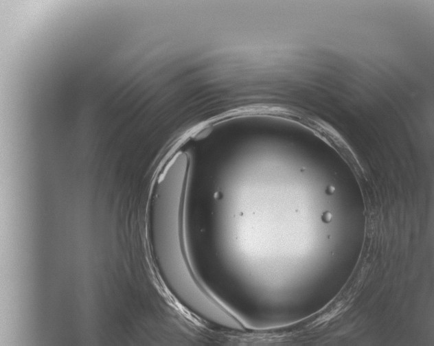 X0000059800860200510281637