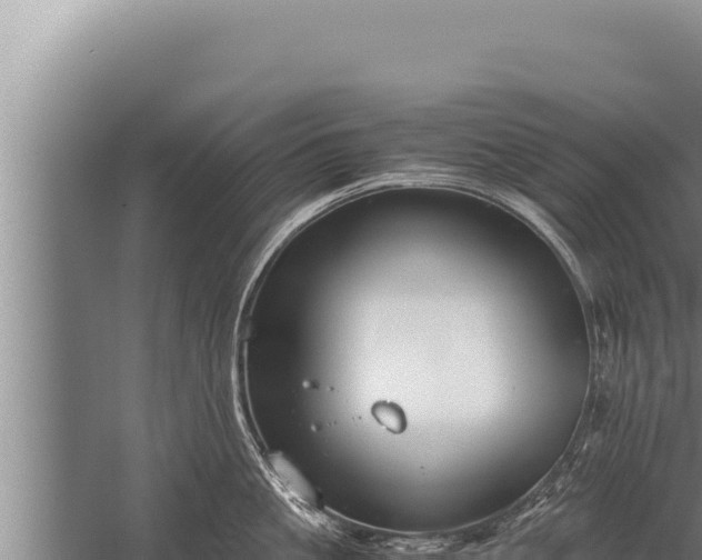 X0000059800861200510281637