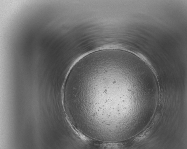 X0000059800862200510281637