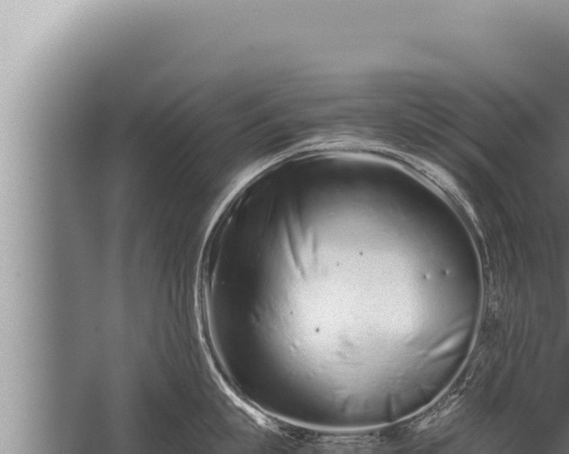 X0000059800863200510281637