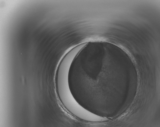 X0000059800864200510281637