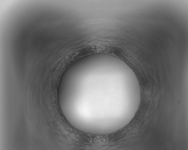 X0000059800865200510281636