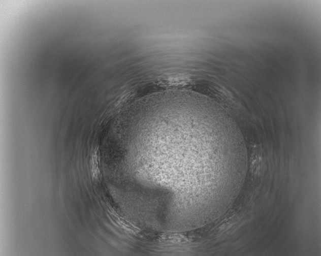 X0000059800866200510281636