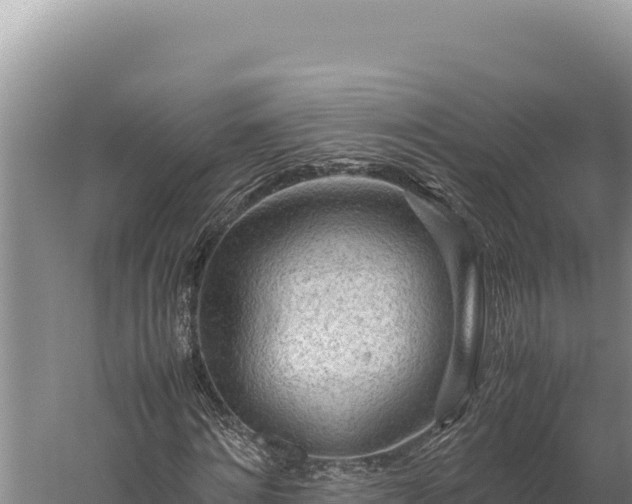 X0000059800868200510281636