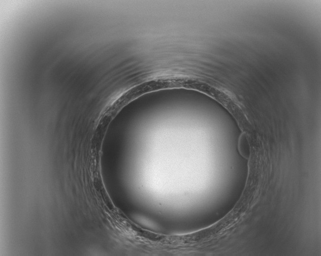 X0000059800871200510281636