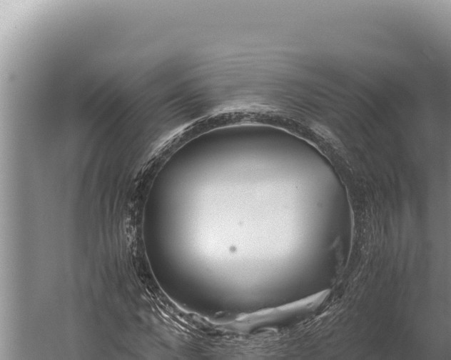 X0000059800872200510281636